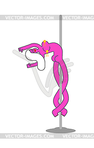 Stripper on pole. Striptease on pylon. Beautiful - vector clipart