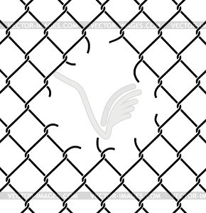 Mesh netting Torn. Rabitz with hole. Mesh fence - vector image