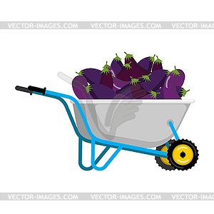 Wheelbarrow and eggplant. vegetables in garden - vector image