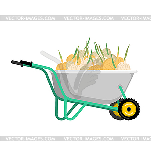 Wheelbarrow and onion. vegetables in garden trolley - vector clipart