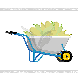Wheelbarrow and zucchini. vegetables in garden - royalty-free vector clipart
