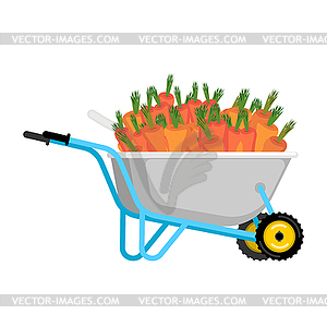 Wheelbarrow and carrot. vegetables in garden - vector clipart