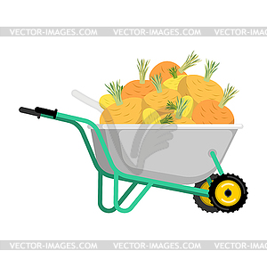 Тачка и репа. овощи в саду - векторное изображение EPS
