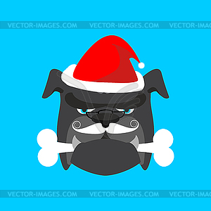 Santa dog and bone. Christmas home pet. Xmas and ne - vector image