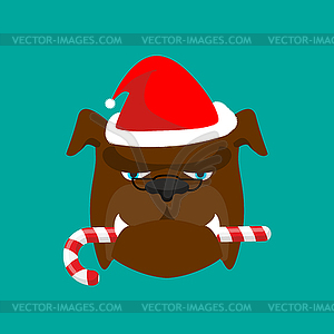 Santa dog and candy cane. Christmas home pet. Xmas - vector image