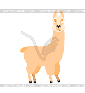 Lama Alpaca was confused emotions. Animal is - vector clip art