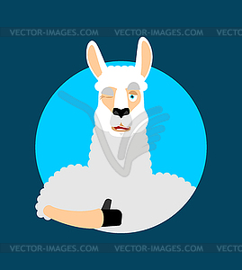 Lama Alpaca thumbs up and winks emoji. Animal - vector clipart