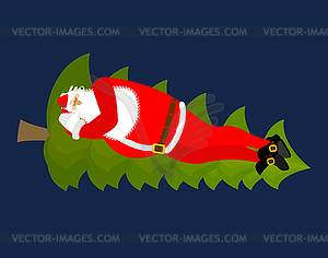 Santa Claus Sleep on Christmas tree. Sleeping - royalty-free vector clipart