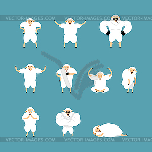 Sheep set poses and motion. Farm animal happy and - vector clipart