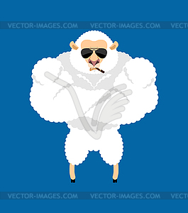 Sheep Strong Cool serious. Ewe smoking cigar - vector clipart