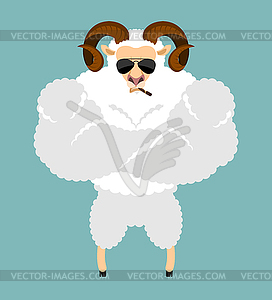 Ram Strong Cool serious. Sheep smoking cigar - vector image