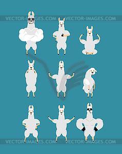 Lama Alpaca set poses and motion. Animal happy and - vector clip art