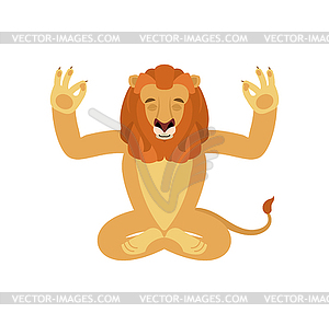 Lion yoga. Wild animal yogi . beast Relaxation and - vector image