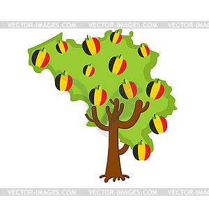 Patriotic apple tree Belgium map. apples Belgian - vector image