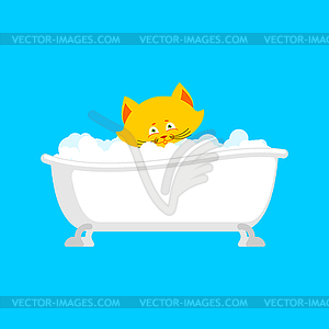 Cat in bath. Pet is washed - vector clip art