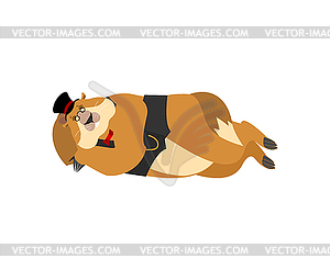 Groundhog day. Groundhog in Hat sleeping. - vector clipart