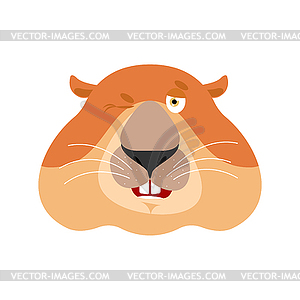 Groundhog wink emoji. Woodchuck merry emotions. - vector clip art