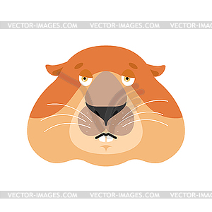Groundhog sad emoji. Woodchuck sorrowful emotions. - vector image