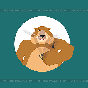 Groundhog thumbs up and winks. Woodchuck happy - vector clipart