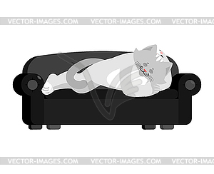 Cat sleeping on couch. Pet asleep emotions. kitty - vector image