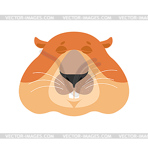 Groundhog sleeping emoji. Woodchuck asleep emotions - color vector clipart