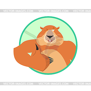 Groundhog thumbs up and winks. Woodchuck happy - vector image