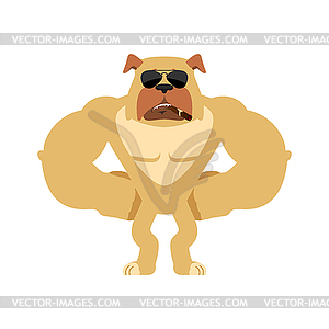 Dog Strong Cool serious. Pet smoking cigar emoji. - color vector clipart