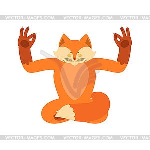 Fox yoga. Wild beast yogi . she-fox Relaxation and - vector clip art