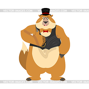 Groundhog day. Groundhog in hat thumbs up and winks - vector clipart