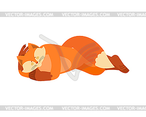 Fox sleeping. Animal asleep. she-fox dormant. - vector clipart