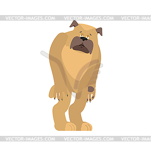 Dog sad. Pet sorrowful emotions. bulldog dull. - color vector clipart