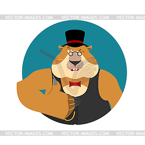 Groundhog day. Groundhog in hat thumbs up and winks - vector image
