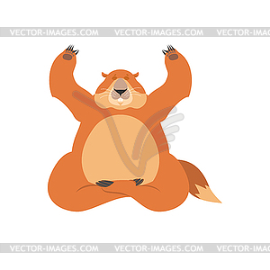 Groundhog yoga. Woodchuck yogi . Marmot Relaxation - vector clip art