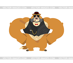 Groundhog day. Groundhog in hat Strong Cool serious - vector image