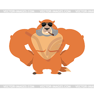 Groundhog Strong Cool serious. Woodchuck smoking - vector clip art