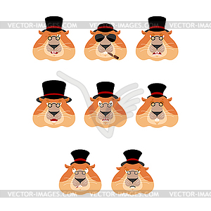 Groundhog day. Groundhog in Hat set emoji avatar. - vector image