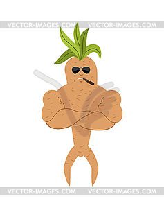 Mandrake root Strong Cool serious. Smoking cigar - vector image