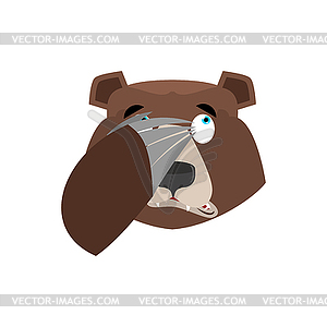 Bear face palm. Beast Fatsepalm Emotion. Wild animal - vector image