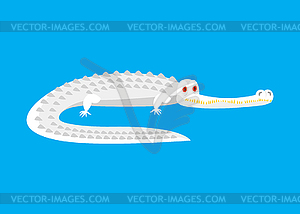 Albino Alligator . White Crocodile with red eyes. - vector image