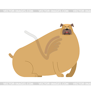 Fat dog. Thick bulldog. Home pet fatso - vector clip art