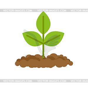 Sprout grows of ground. Plants in soil - vector clipart