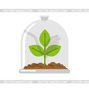 Plant in Glass Bell. Laboratory jar and sprout. - vector clipart