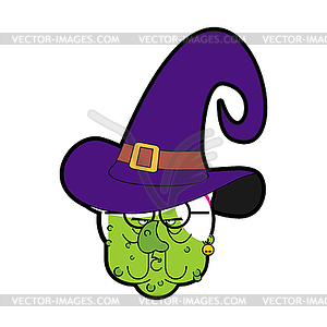 Old wicked witch. Green hag with warts - color vector clipart