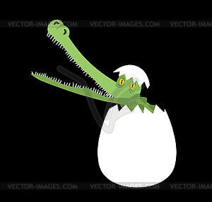 Hatched crocodile of egg  - vector clipart / vector image