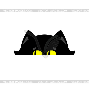 Cat peeking . Home pet looks out - color vector clipart