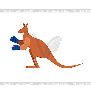 Kangaroo and boxing gloves. Australia boxer. - vector image