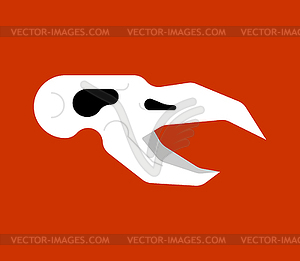 Bird skull. head of crow skeleton - vector clip art