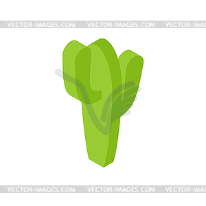 Cactus Isometric style . Desert plant Illustratio - vector clipart