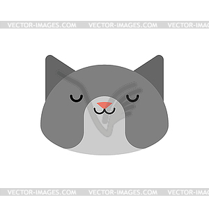 Cat face . Pet head - vector image