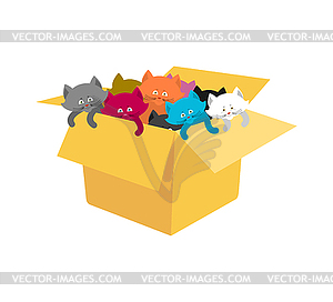 Box with kittens. Cats in cardboard box - royalty-free vector image